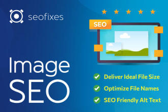 I will do wordpress on page SEO optimization with rankmath and schema markup