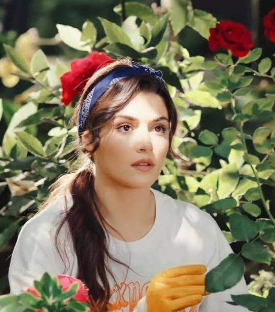 I am a Web developer I will design best web page for you 