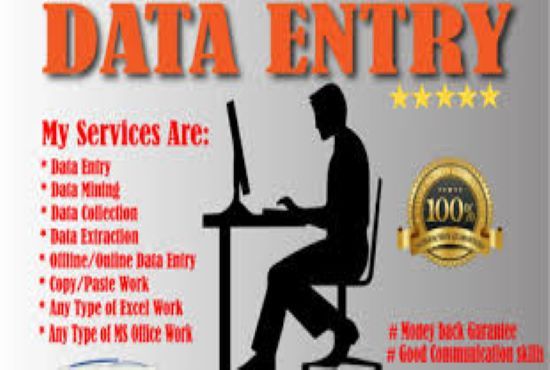 Efficient Data Entry Specialist for Accurate and Timely Information Management