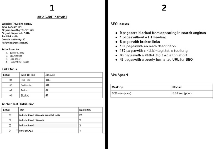 I will do a Complete SEO Audit report on your Website & Competitor analysis