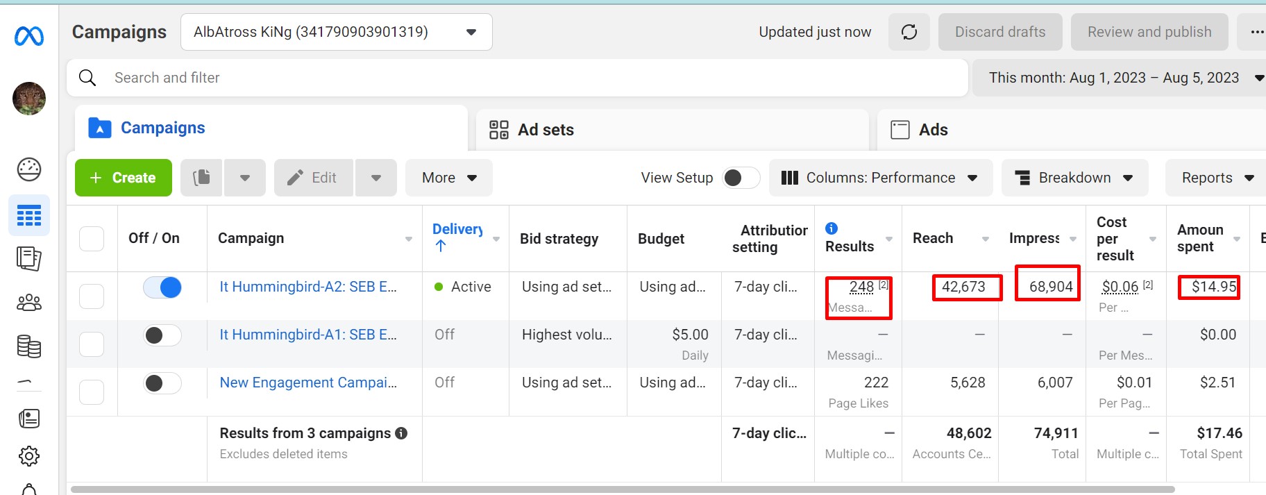 I will setup any profitable ADS campaign for your business