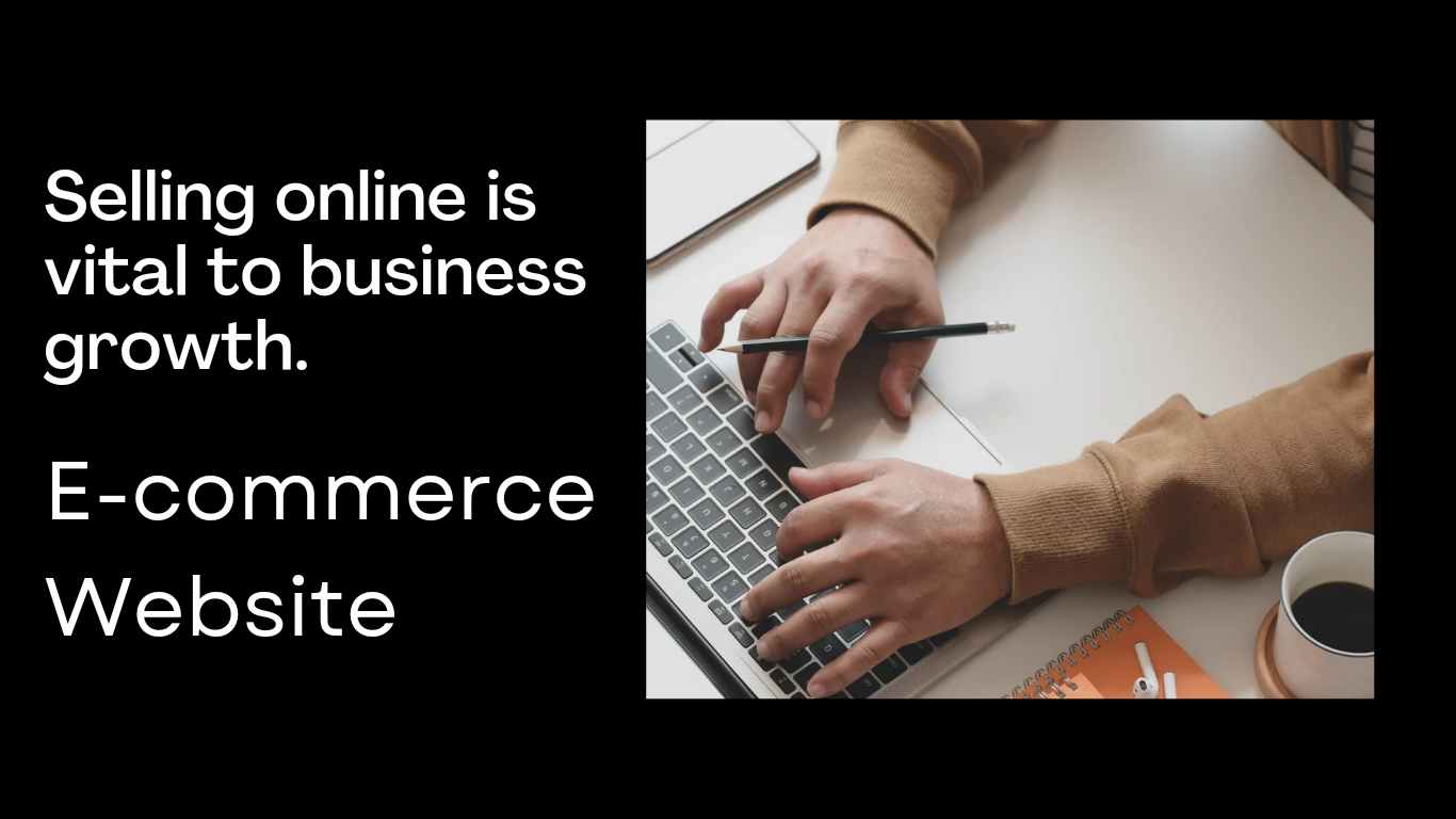 E-commerce website to increase your business 