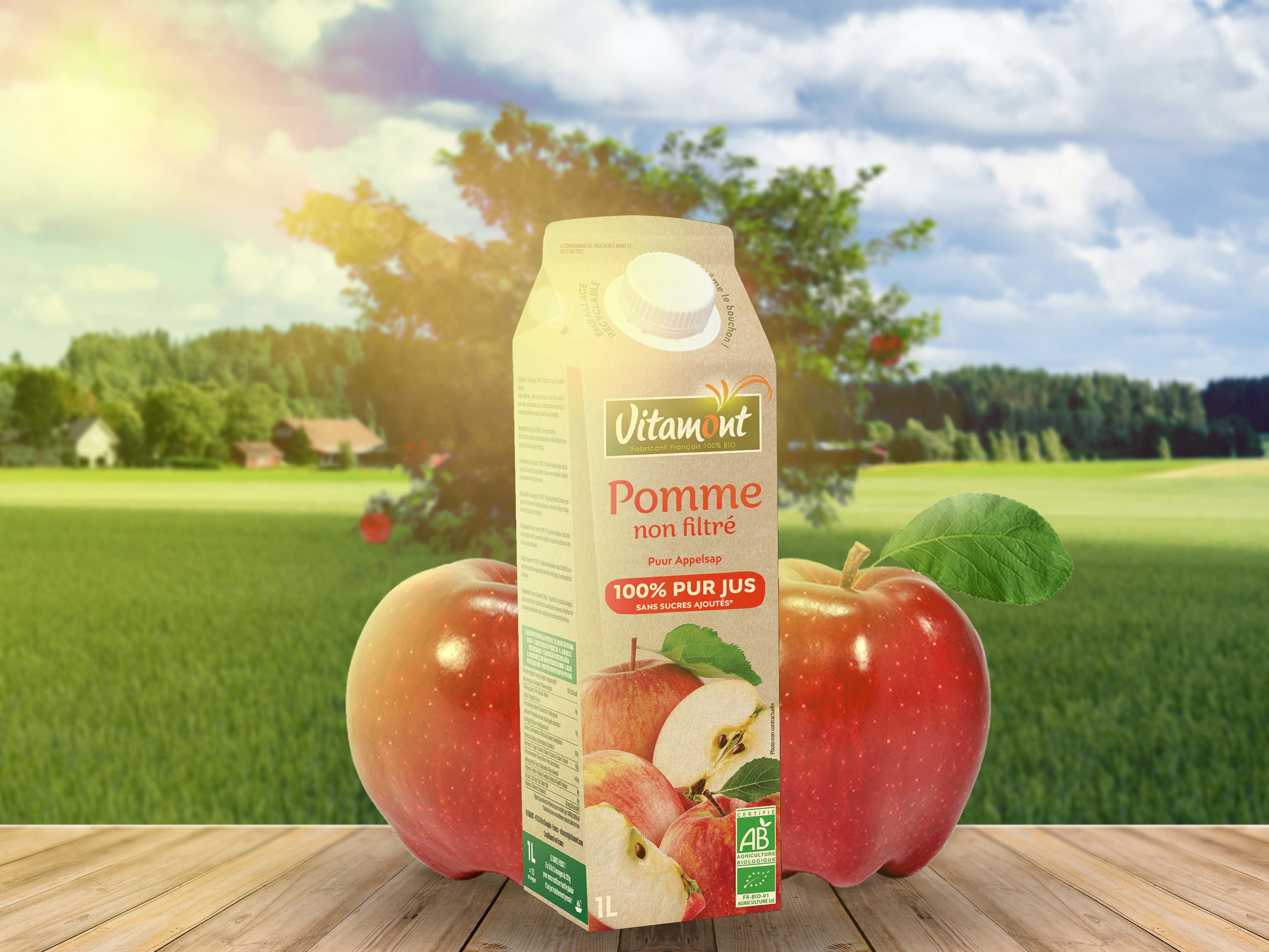 DesignMasters: Elevate Your Product with Stunning Designs