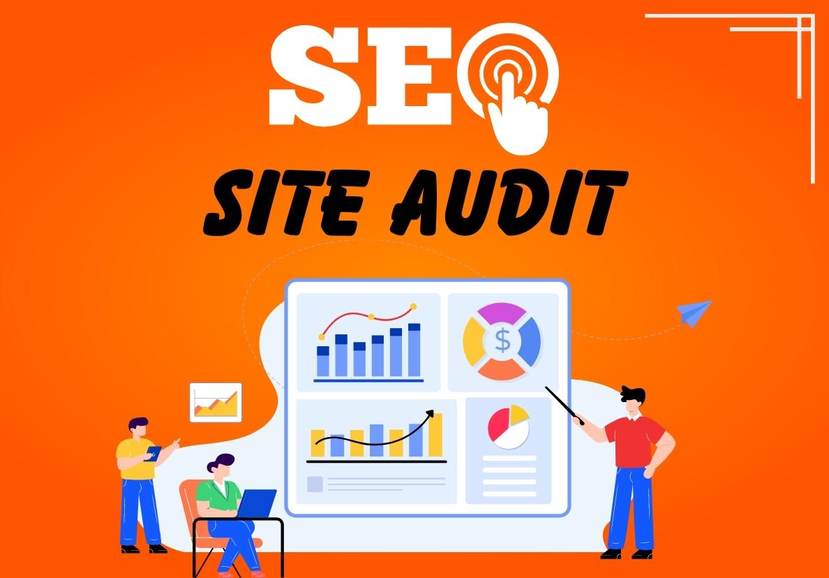 Provide a Professional SEO audit with pro recommendations