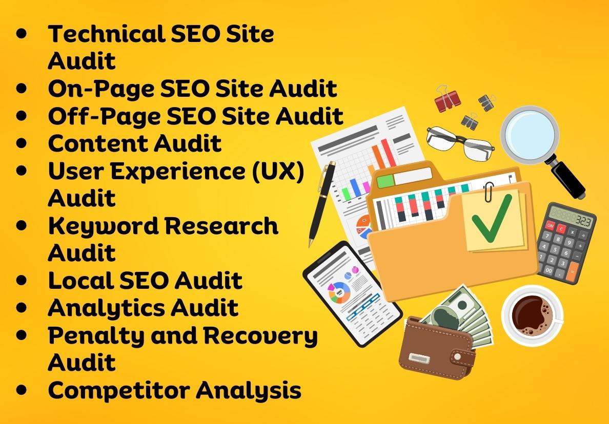 Provide a Professional SEO audit with pro recommendations