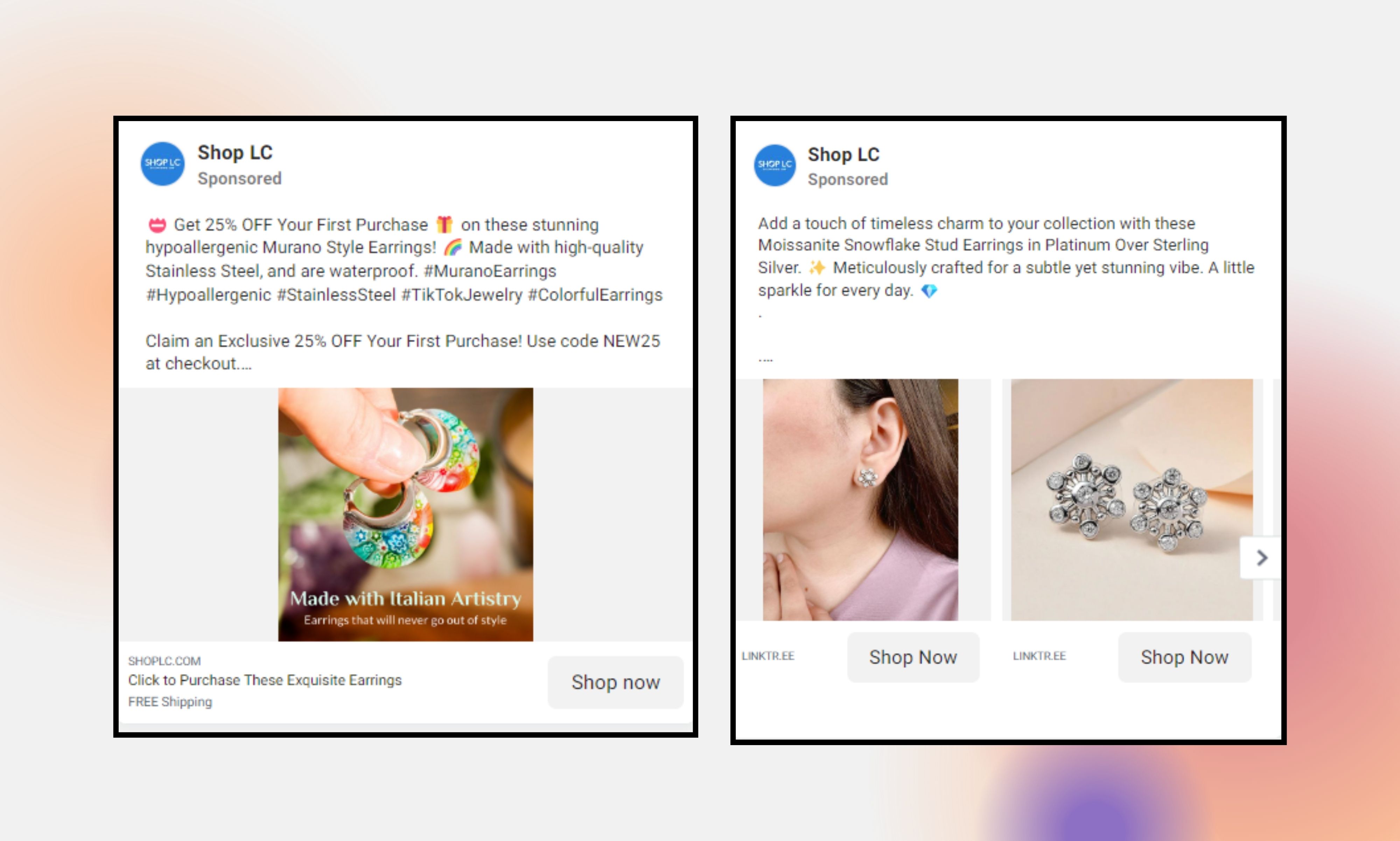 I will setup profitable facebook ads campaign for 10x boost your sales