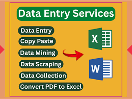 I will do Data Entry, Typing, Retyping, Copy and Paste work - Low price, accurate and quick delivery