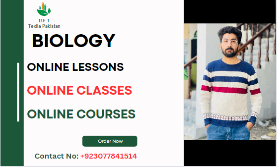 You will get Any Online lessons, courses and classes