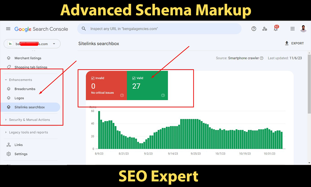 I will implement schema markup to your website in an advanced way
