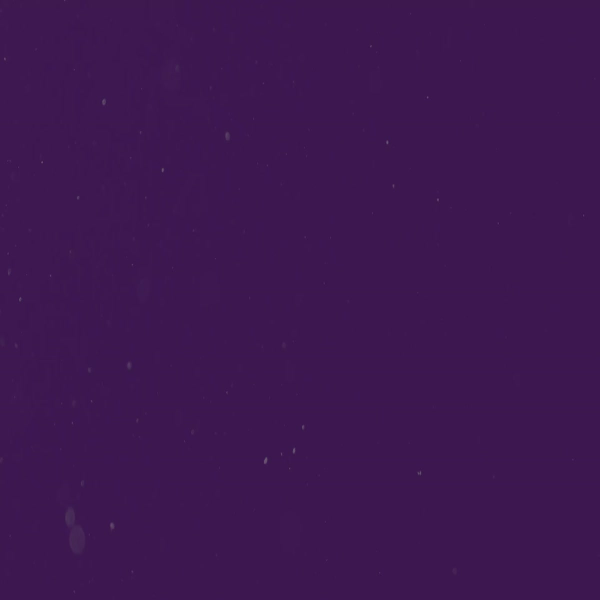 I will do 5 manual backlink placements on niche forums