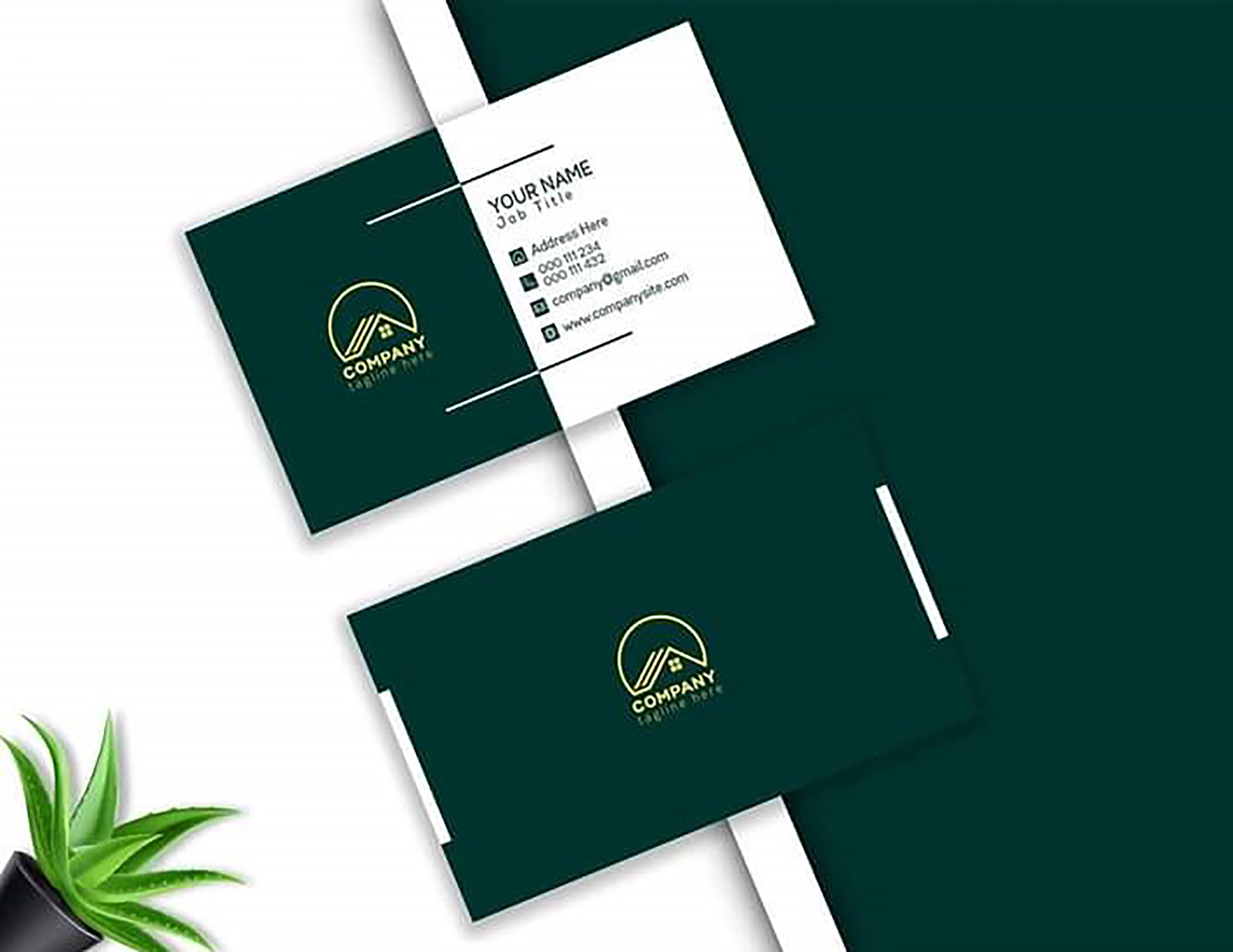 I will design a professional business card with 3 concepts