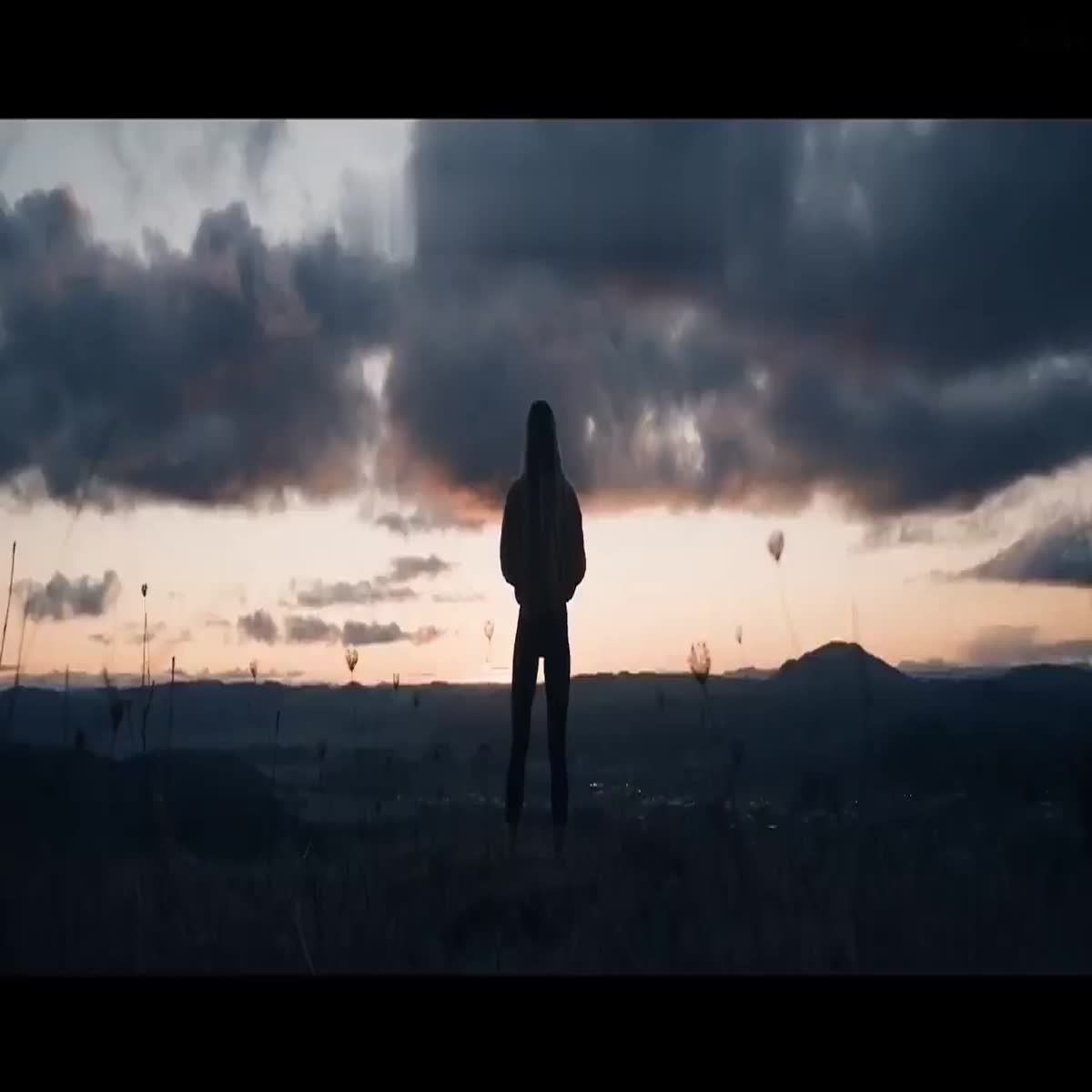 I will create unique brand commercial video or promot...