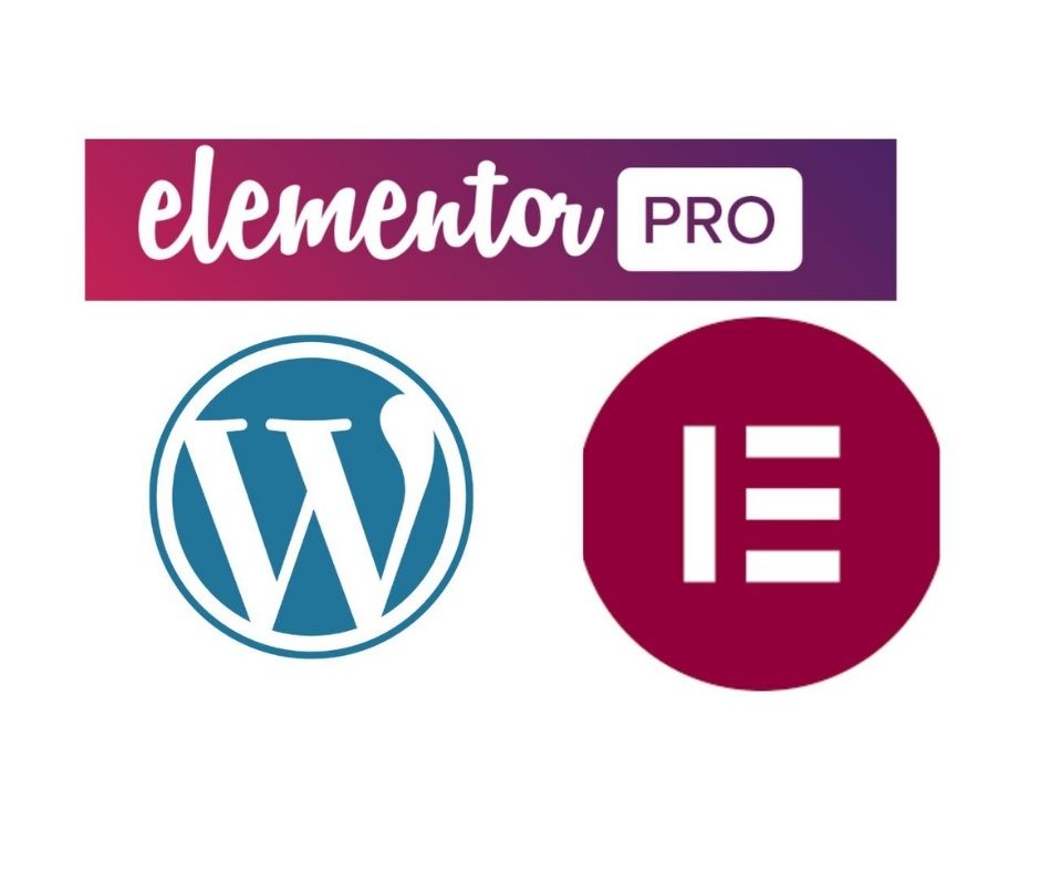 I will Build Professional website in wordpress