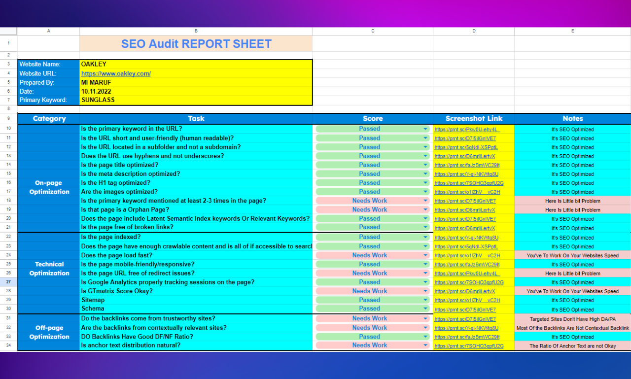 I will provide website SEO audit, analysis, report and action plan service