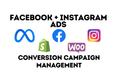 I will setup conversion facebook and instagram ads fo...