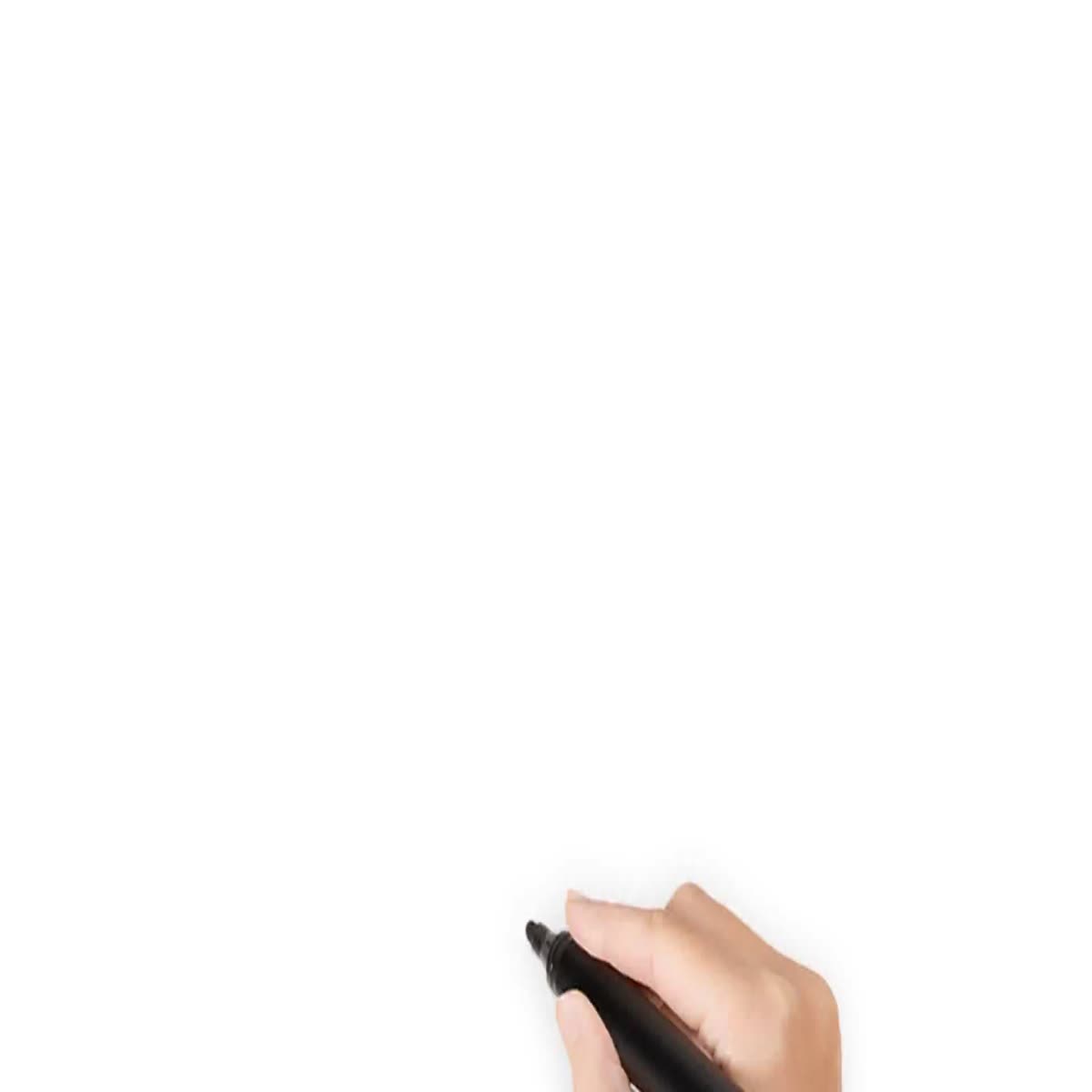 I will create eye catching and attractive premium whiteboard animation explainer videos