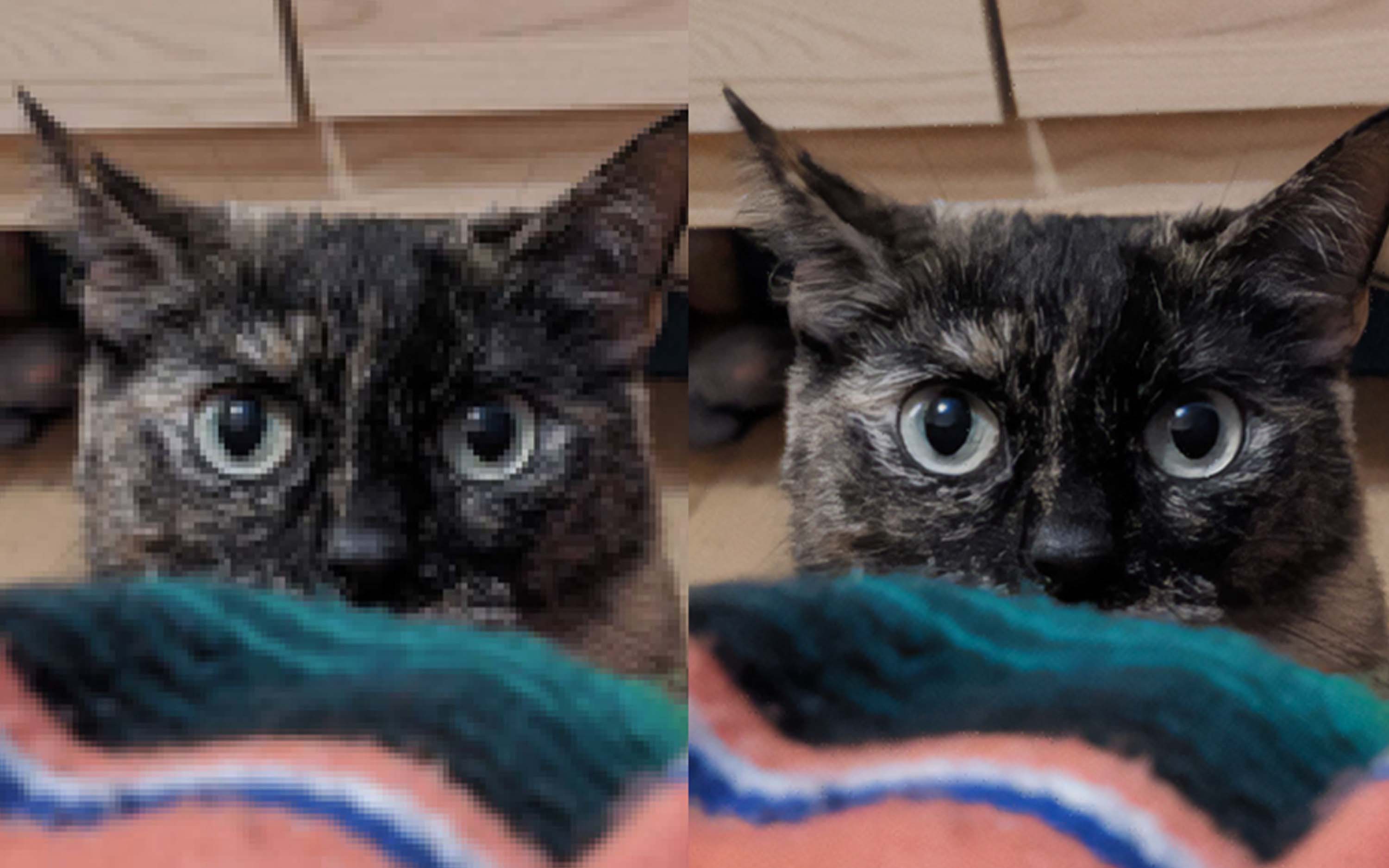 I will be your graphic designer, vector art and photoshop edits