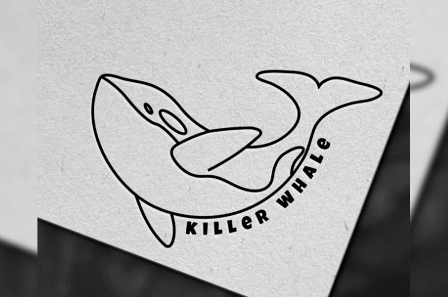 I will do 3 minimalist logo designs and a favicon as a gift