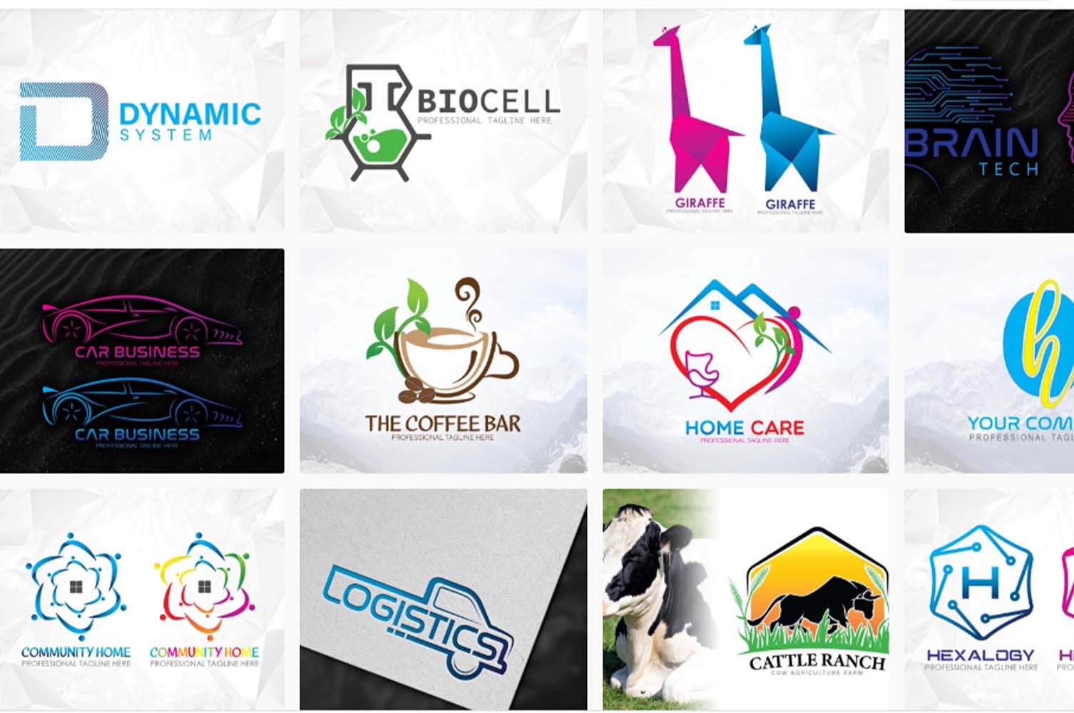 I will do 3 minimalist logo designs and a favicon as a gift