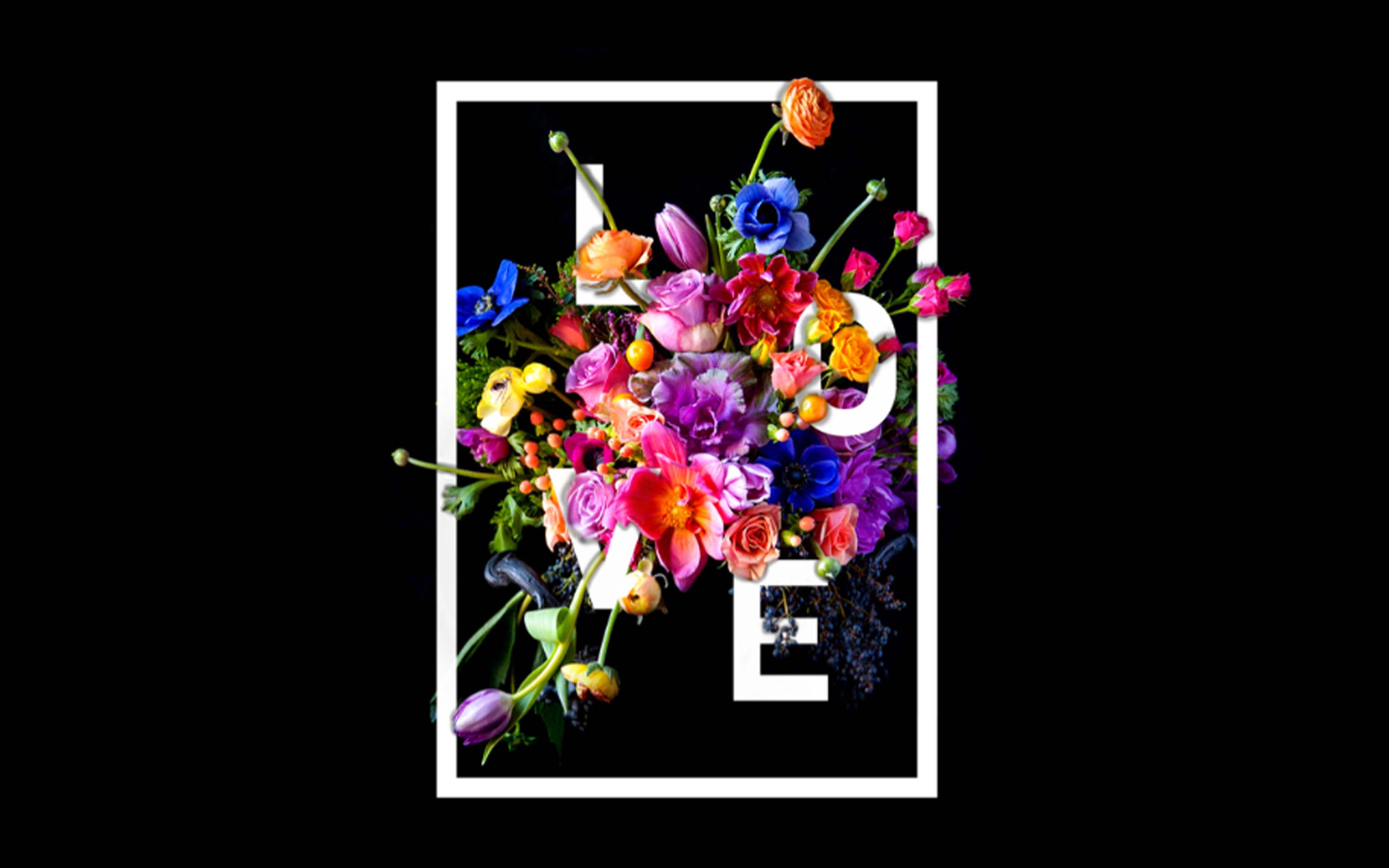 I will be your graphic designer, vector art and photoshop edits