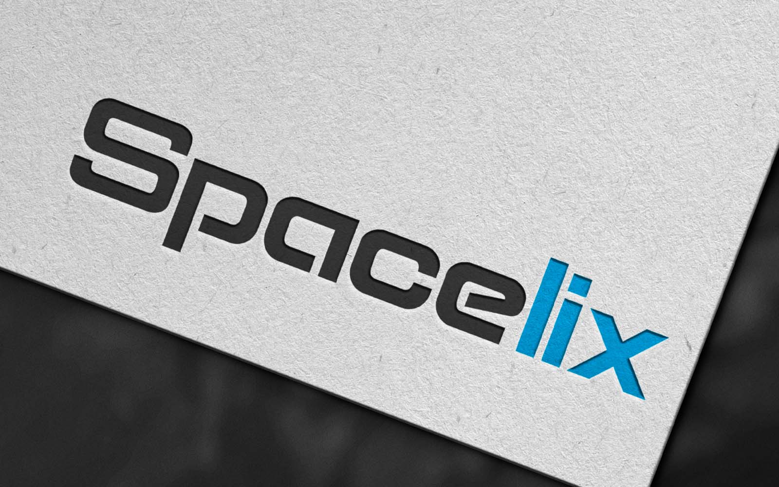 I will do 3 minimalist logo designs and a favicon as a gift