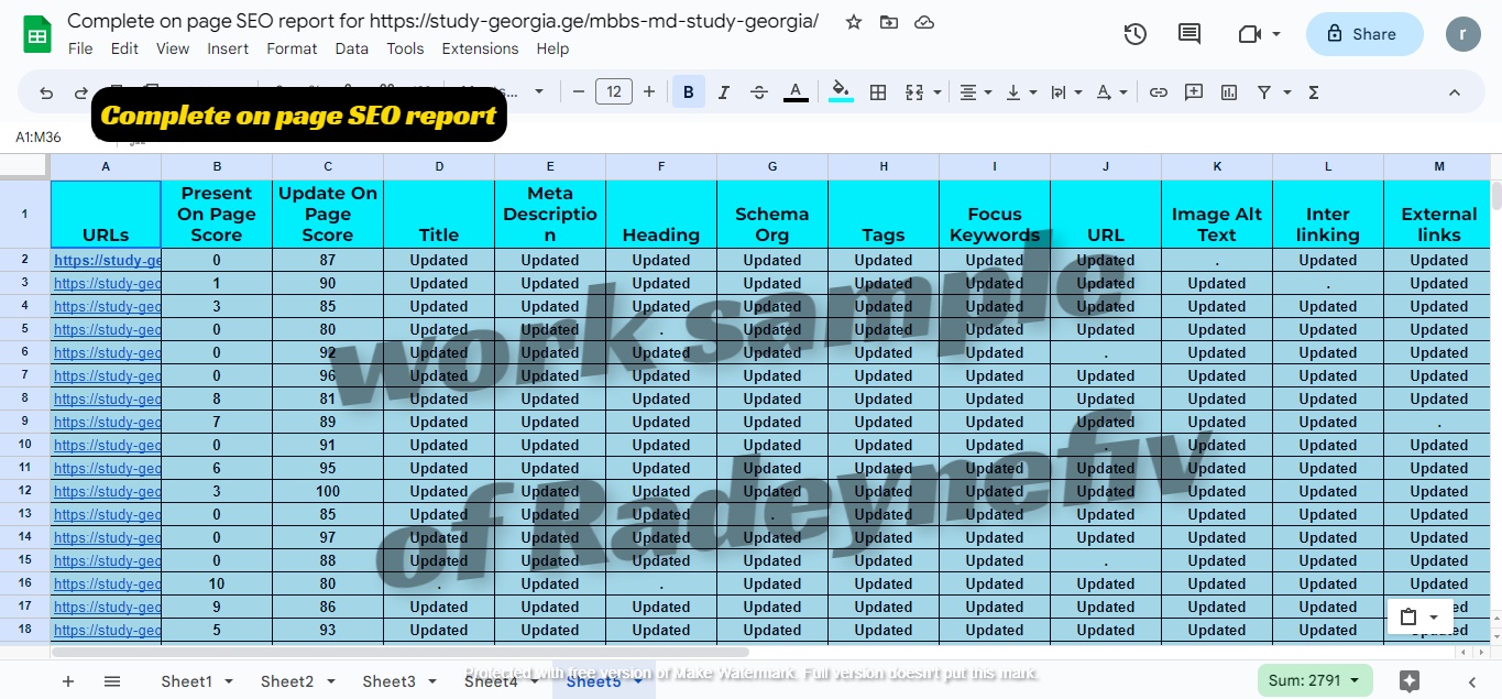I will do complete on page SEO and optimize your technical issues
