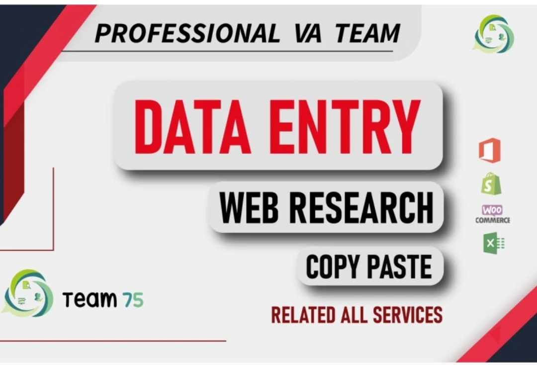 I will do excel data entry, web research, data entry, copy-paste