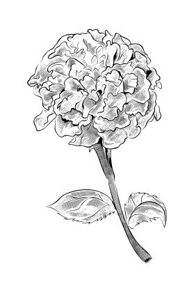 I am professional designer and I will make coloring sketchbooks and notebook for you