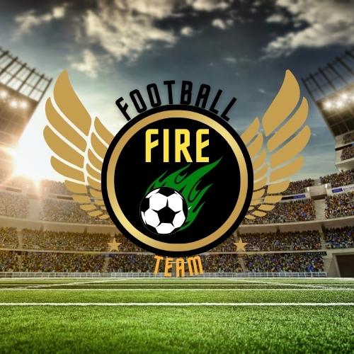 I will do professional minimalist business logo maker for you