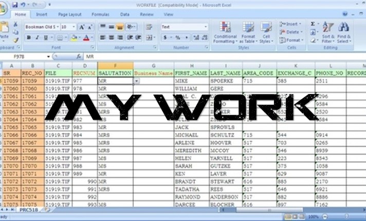 I will do faster Data Entry, Internet Research, copy-paste, Data Scraping in One day.