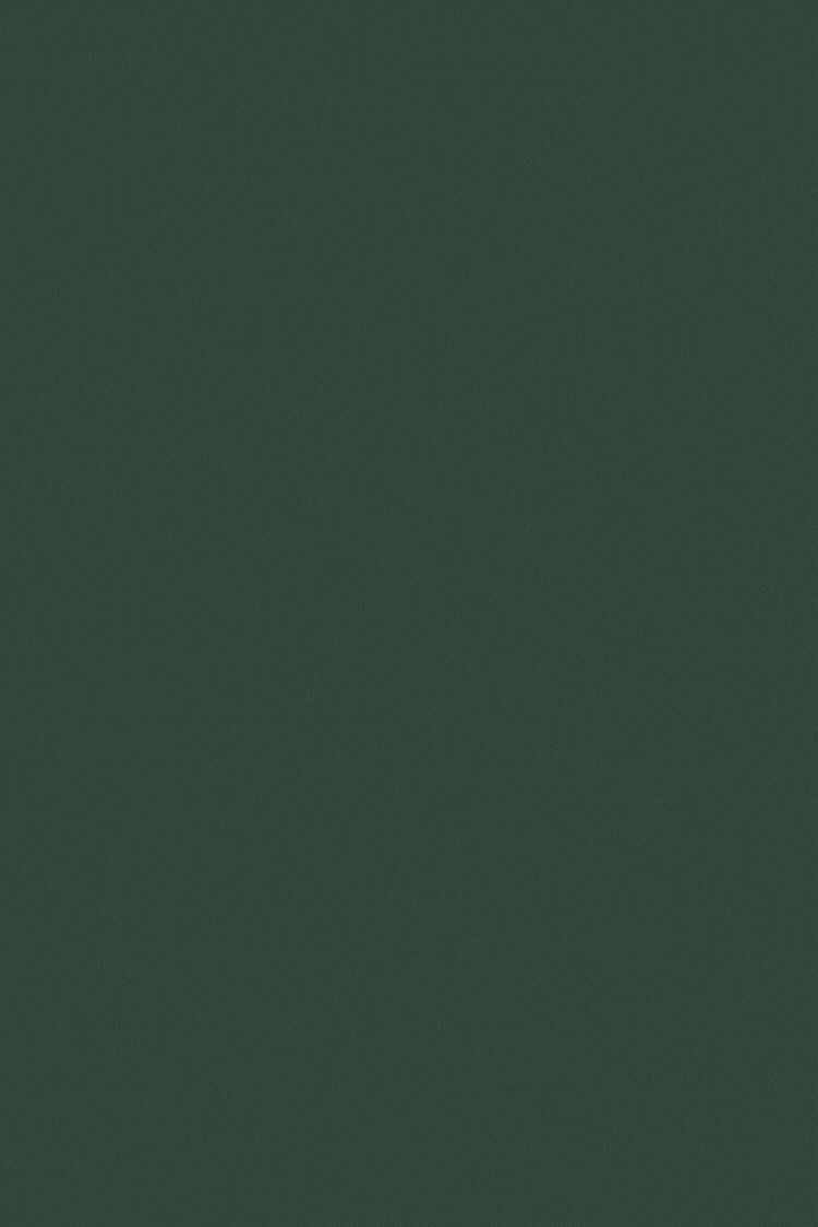 I will write 500-1500 words SEO-optimized articles, website content and blog posts on any niche