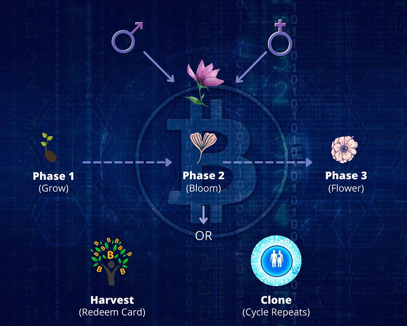 I will make professional informative & simple infographic design