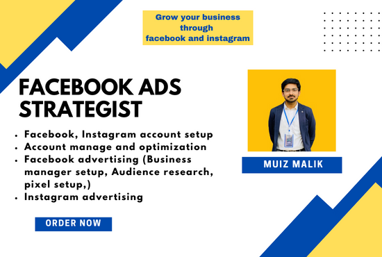 I will run strategic facebook/instagram ads campaigns...