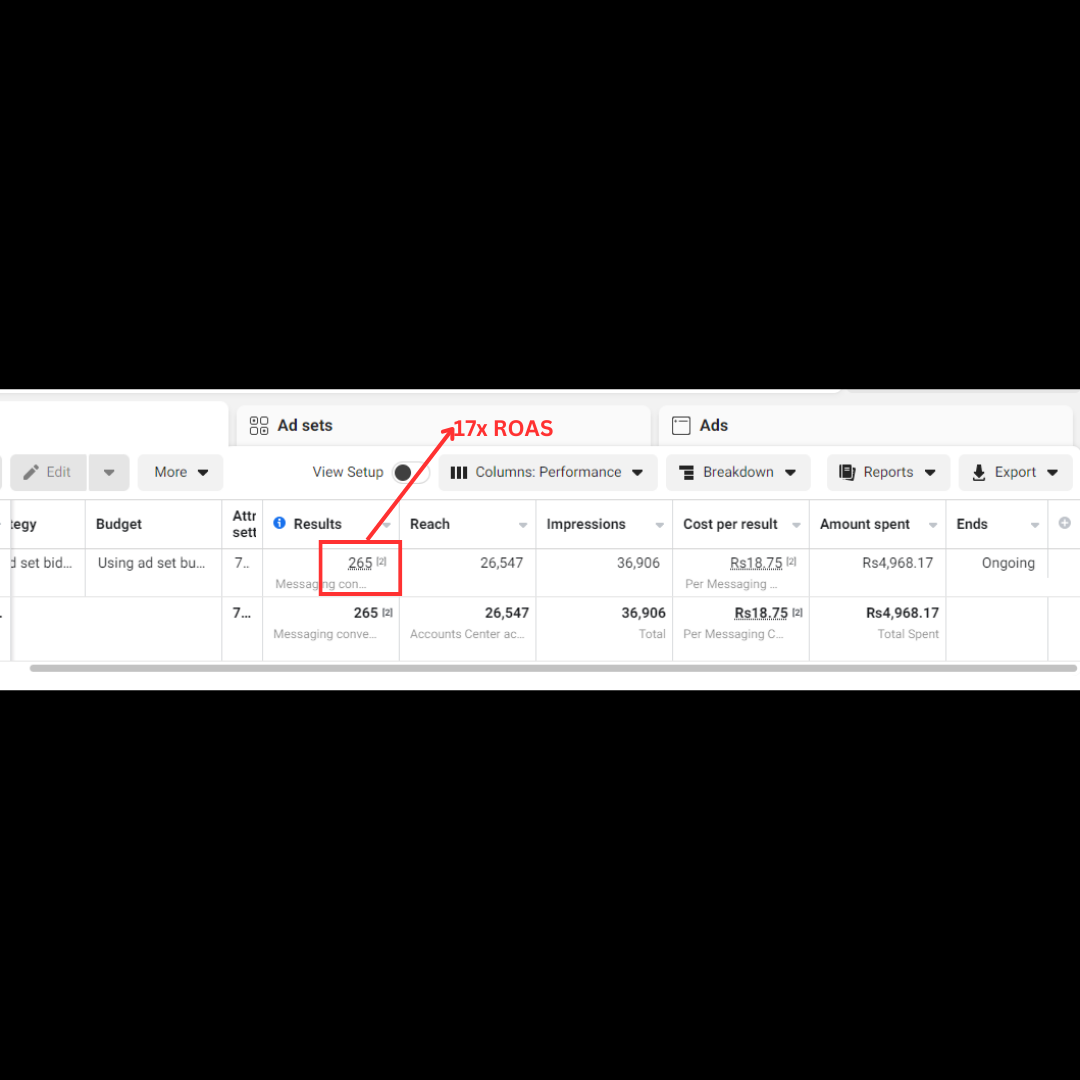 I will run strategic facebook/instagram ads campaigns for your business