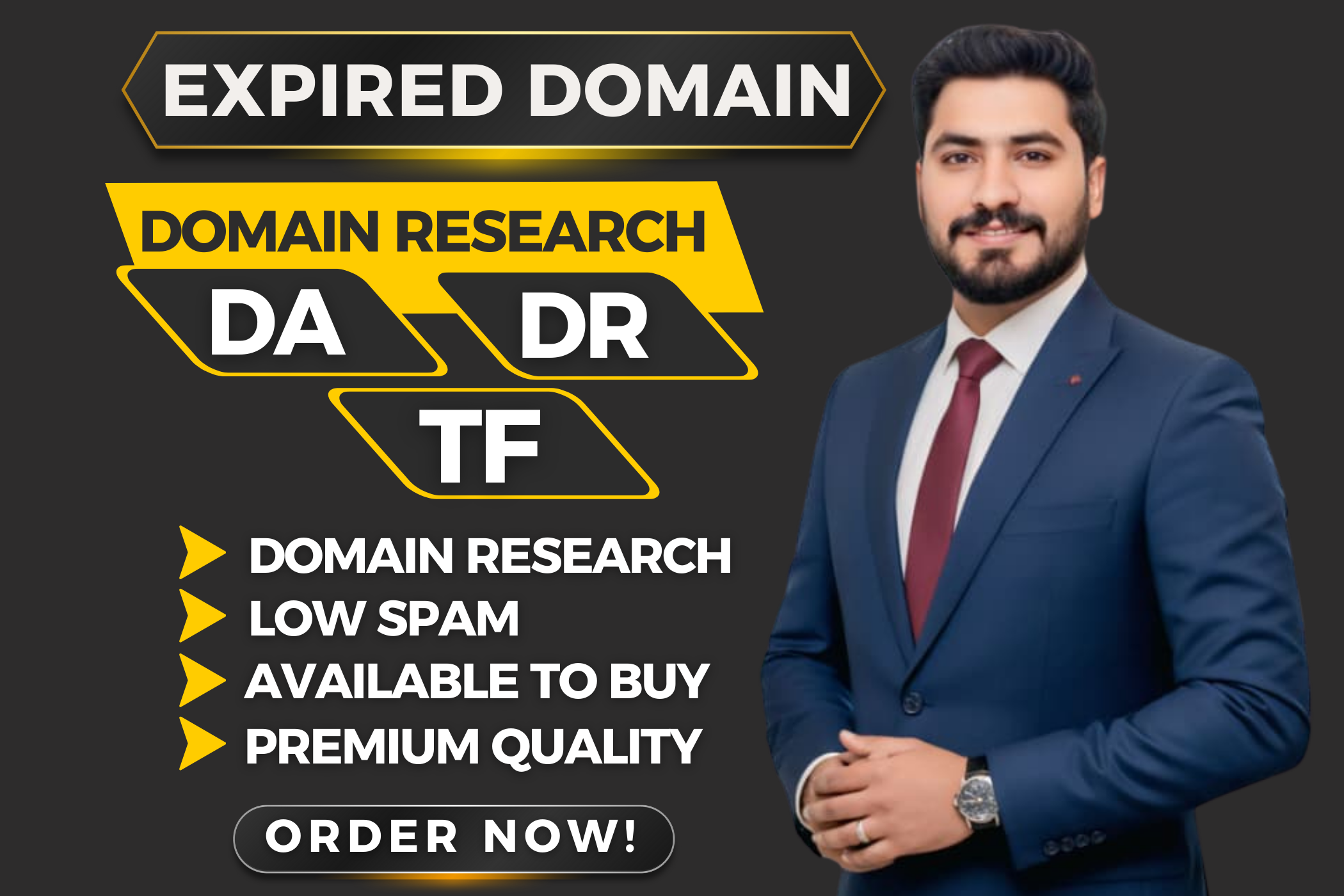 I Will Research and Provide 1 Expire Domain for SEO G...