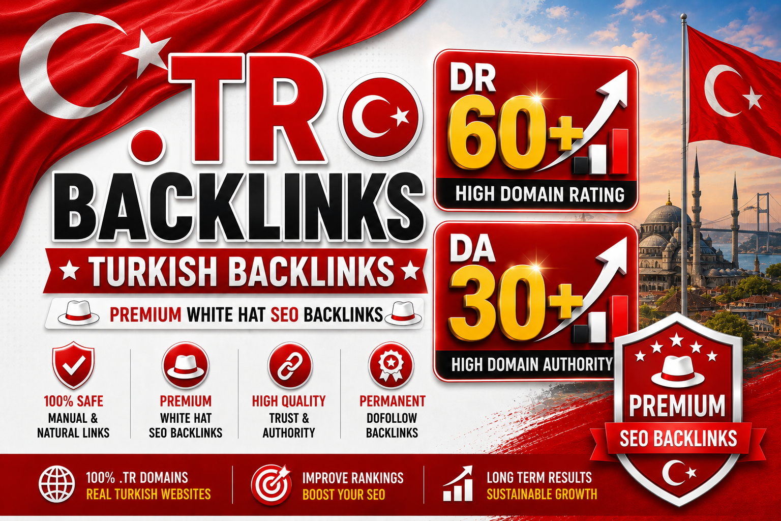 I will create 50 High Quality .Tr Turkish DR 60+ and DA 30+ PBN Backlinks