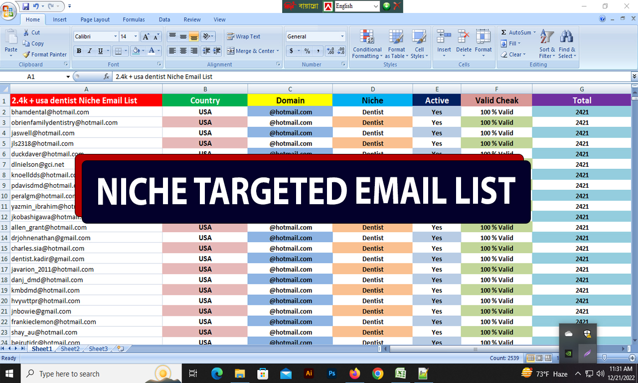 I will provide Niche targeted 2k email list for any Country