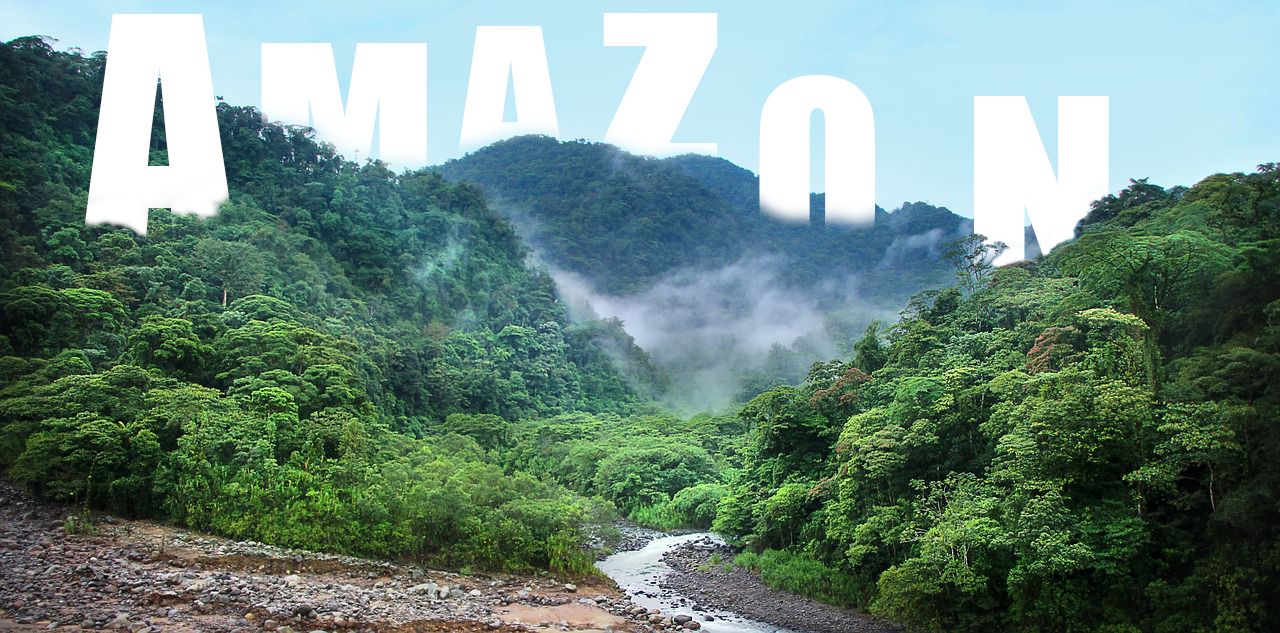 I will do photo manipulation professionally in 12 hours