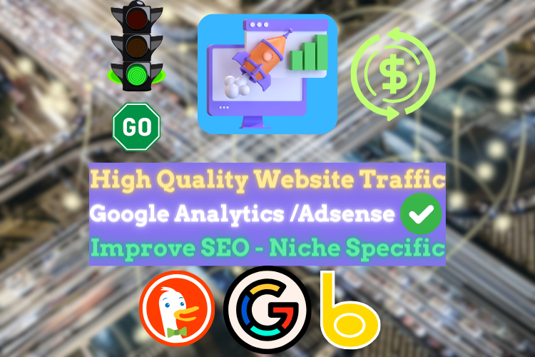 HQ Website Traffic (30K Visitors)