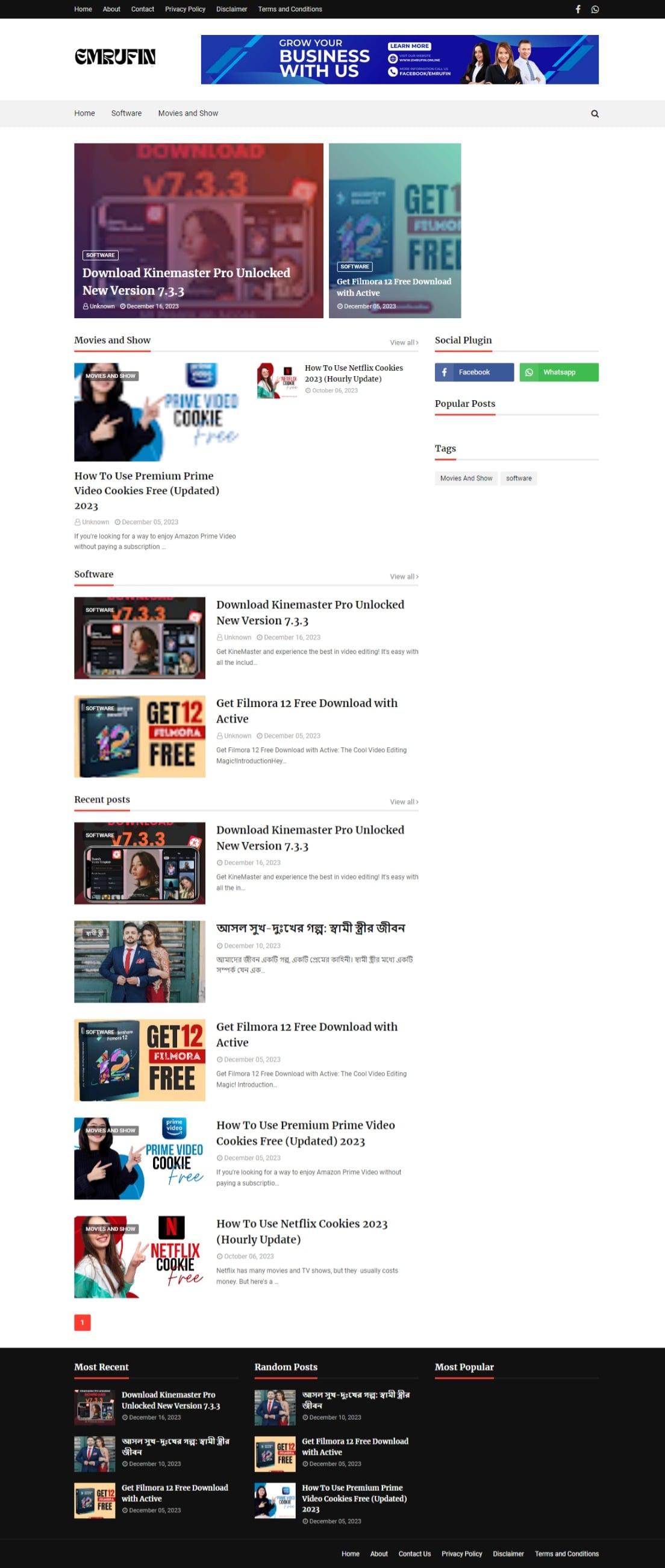 I will build a professional WordPress website and design it for you.