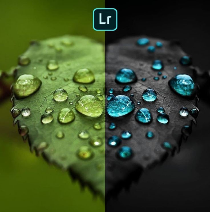 I Can Edit Your Amazing Photos Professionally with Lightroom
