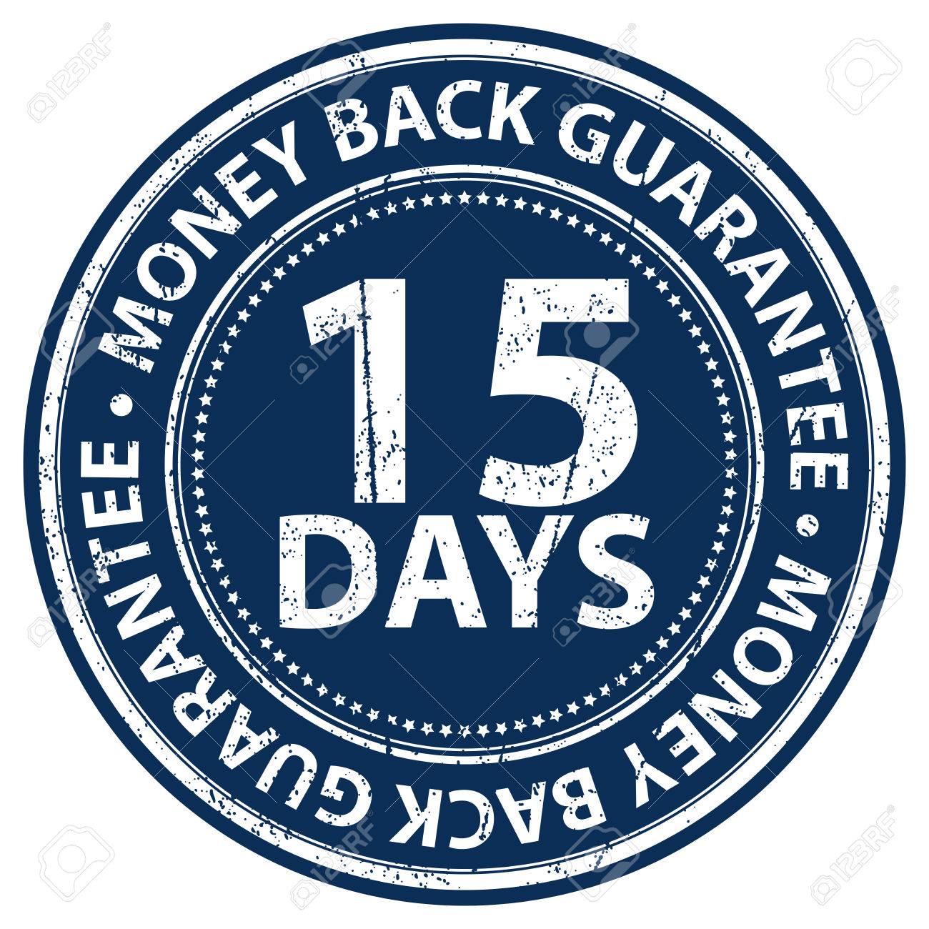 Mastering the SEO Essentials: Elevate Your Ranking with These Proven Tips 