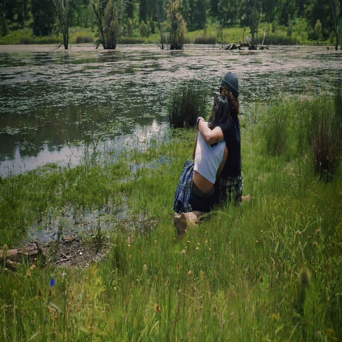 i will make a blogger to videos with voice over