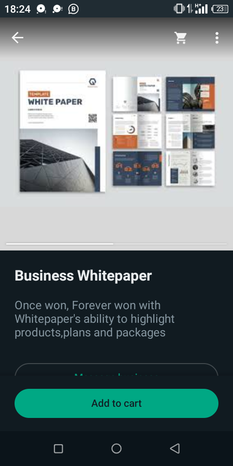 A captivating and informative Business Whitepaper 