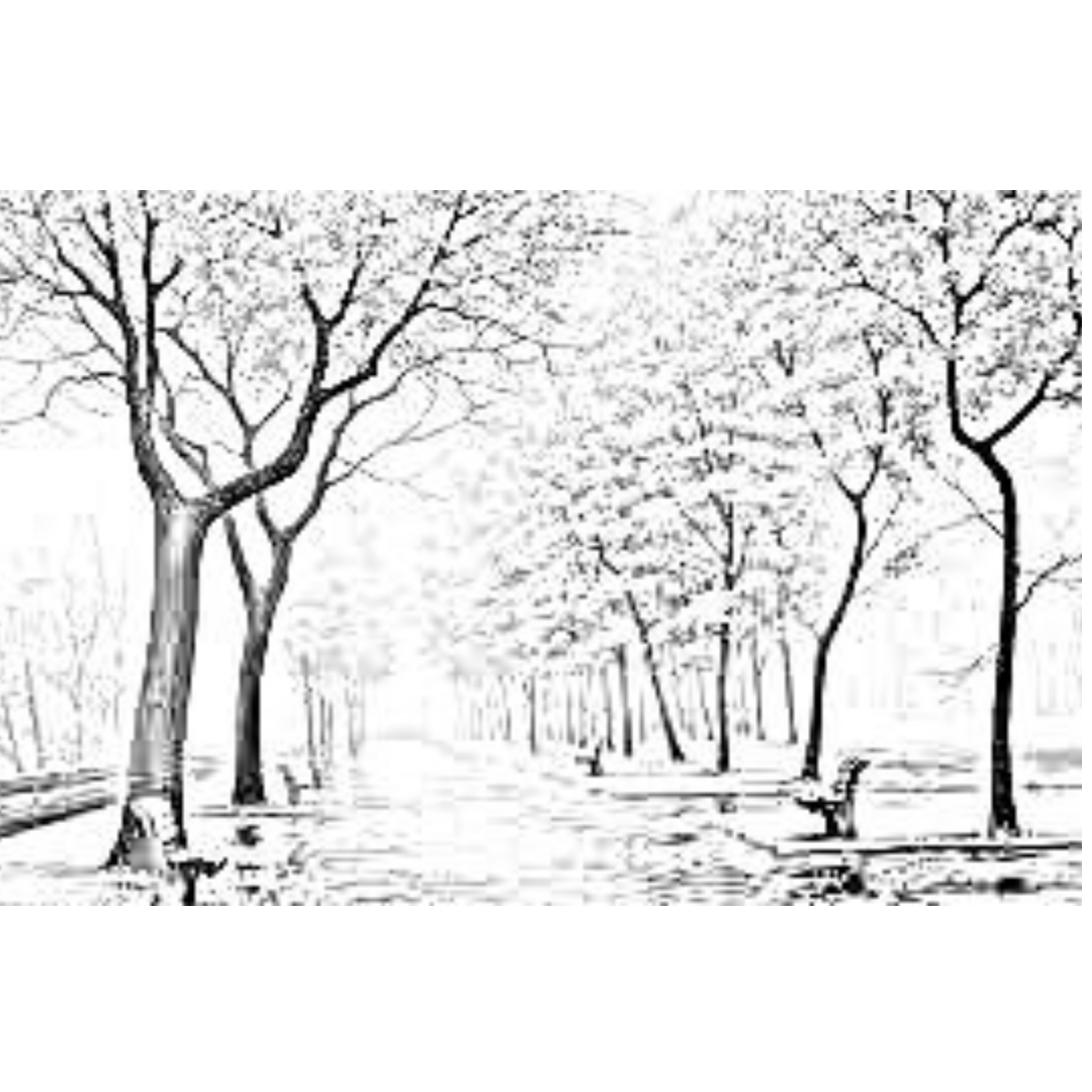 i will create an attractive drawing book in 24 hours