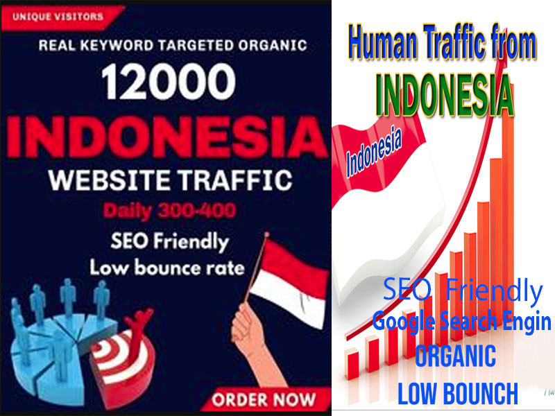 You will get website traffic Indonesia visitors to your website from trusted sources