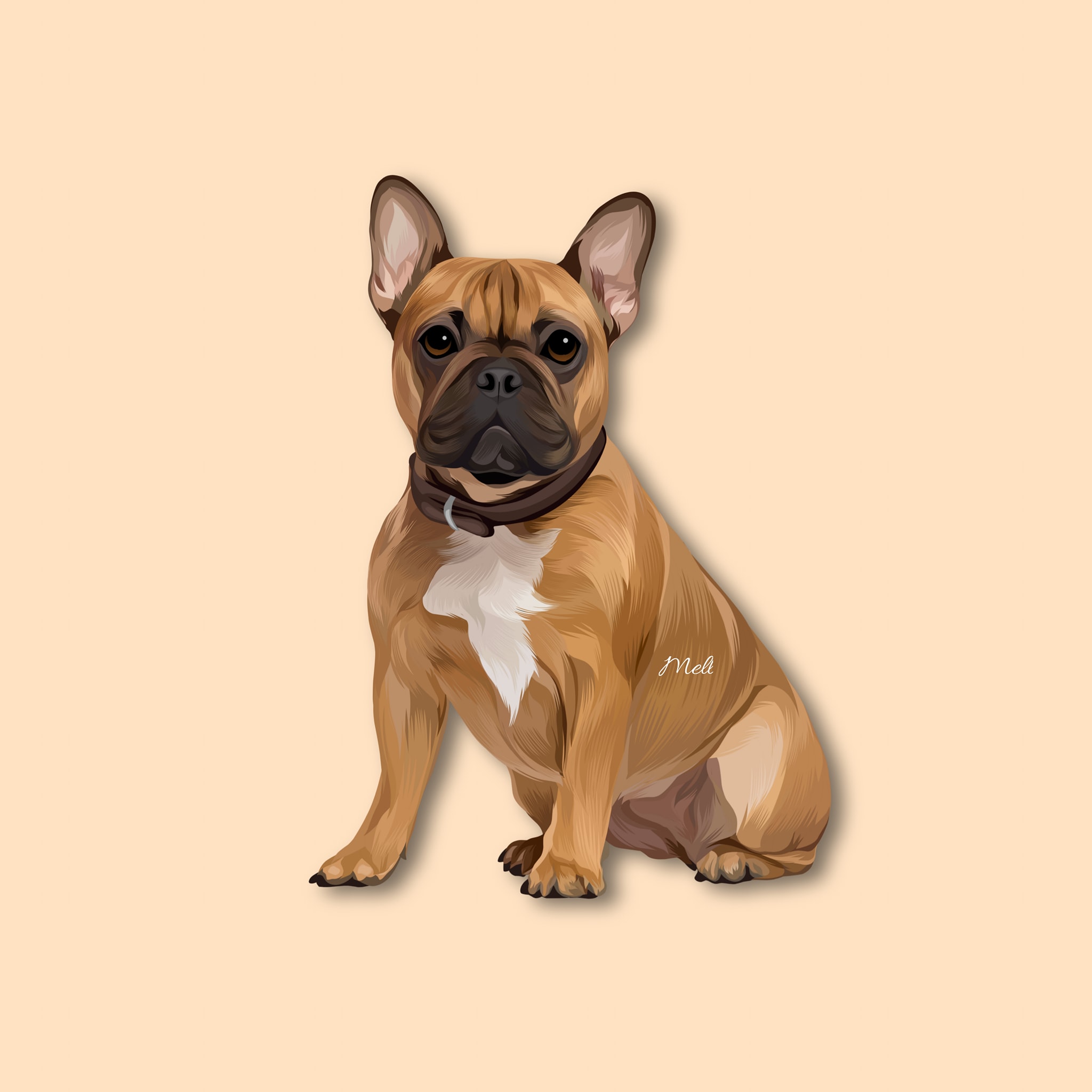 I will draw your dog and cat into cartoon portrait