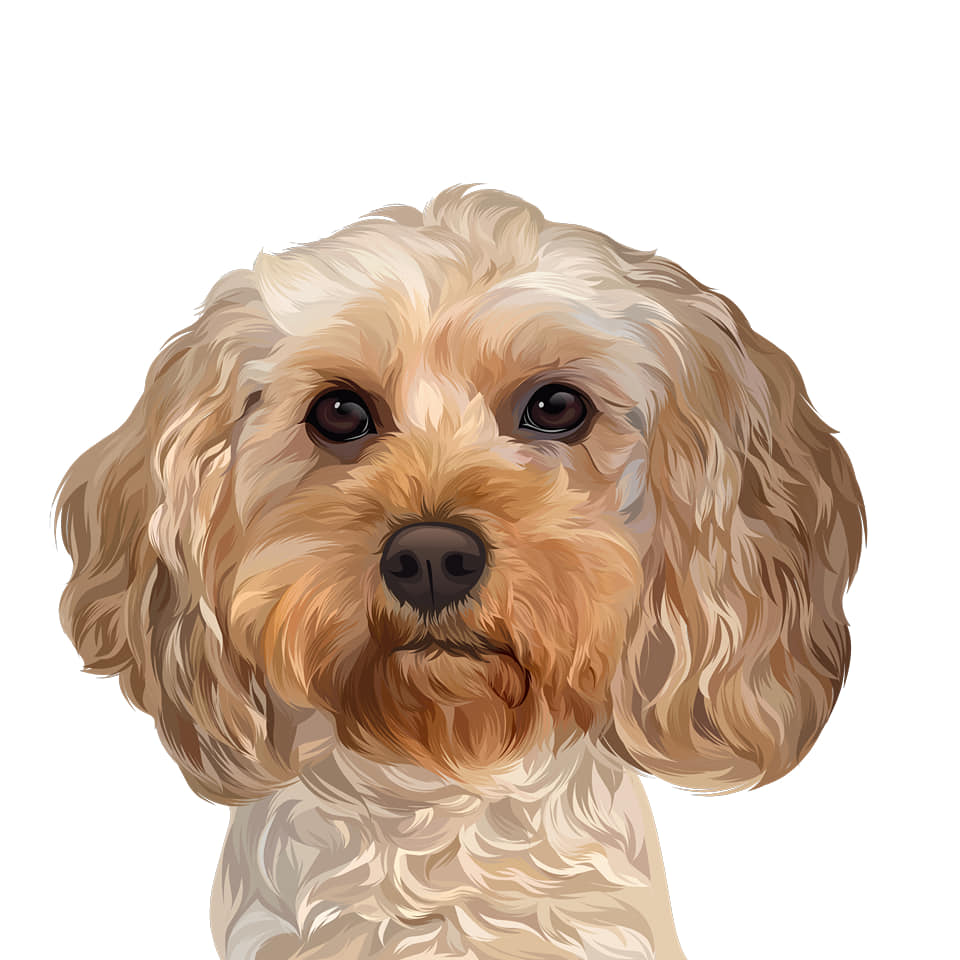 I will draw your dog and cat into cartoon portrait