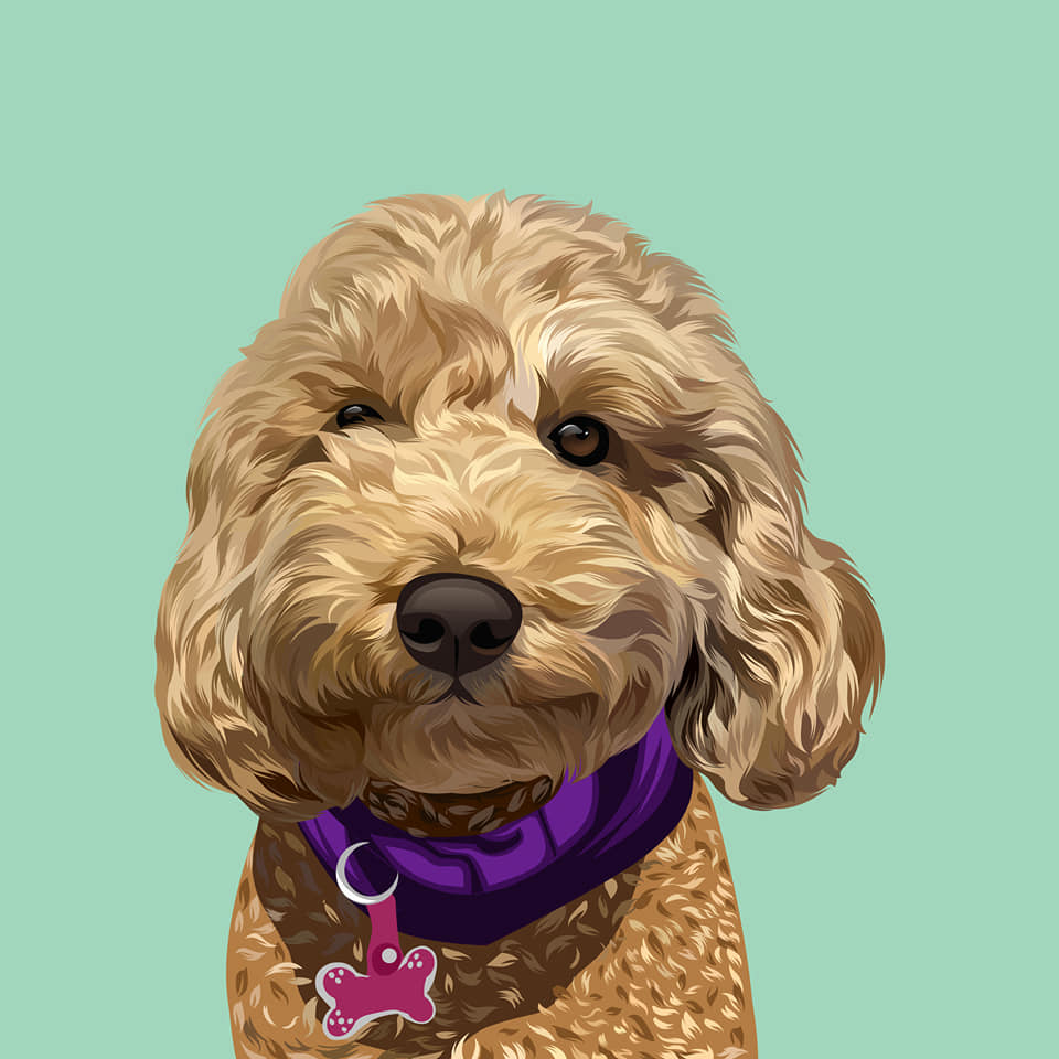 I will draw your dog and cat into cartoon portrait