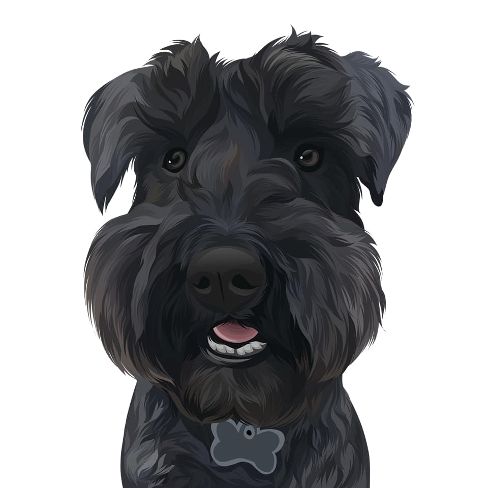 I will draw your dog and cat into cartoon portrait